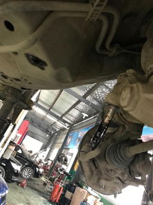 發動機懸掛系統更換全攻略 下擺臂、元寶梁與機腳紙元寶的維護