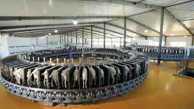 一花引來百花香 和林格爾縣技術開發引領產業融合發展