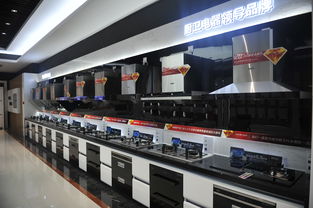 何止大吸力更乎大關(guān)懷 帥康引領(lǐng)家居品質(zhì)升級(jí)的技術(shù)開(kāi)發(fā)之路